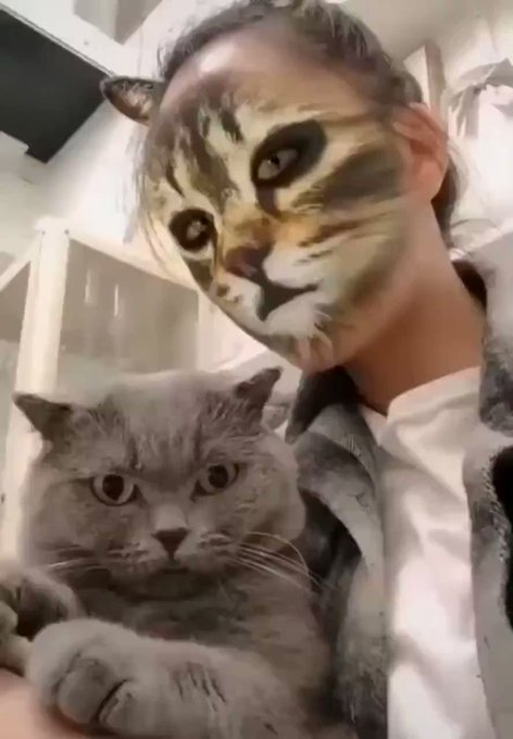 式守伊之助 (@k2c423)  nitter