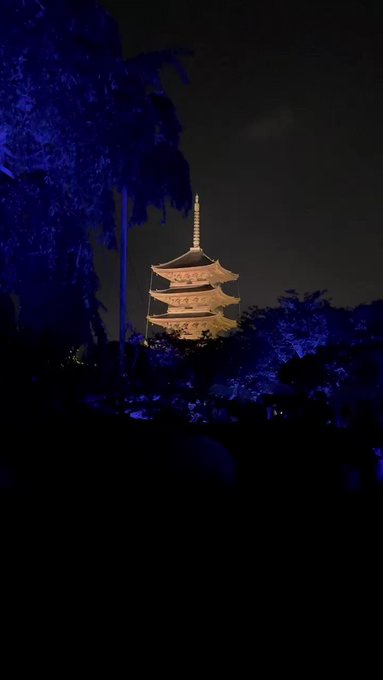 けんけん 京都 大好きインスタグラマー Kenken Kyoto チームラボ 東寺 光の祭 東寺 東寺ライトアップ チームラボ東寺光の祭 チームラボ Digitizedtoji 五重塔 五重の塔 不二桜 Teamlab 世界遺産 Toji Tokyoインカラミ 東京カメラ部 京都カメラ部