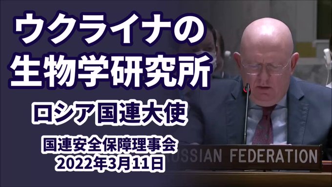 Matatabi Matatabi Catnip 日本語字幕つけました ロシア は なぜ国連など国際社会に訴えないのか という意見をよく見かけますが 何度も訴えているのです メディアが報道していないのです フル動画 国連安全保障理事会 ウクライナの生物学研究所について