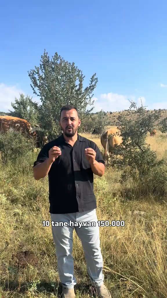 Çoban, 10 hayvanla aile geçindirip ev alınabileceğini açıkladı