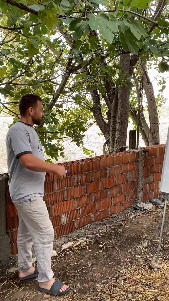 Matematik öğretmeni, yapay zekanın tuğla hesaplamasını test etti