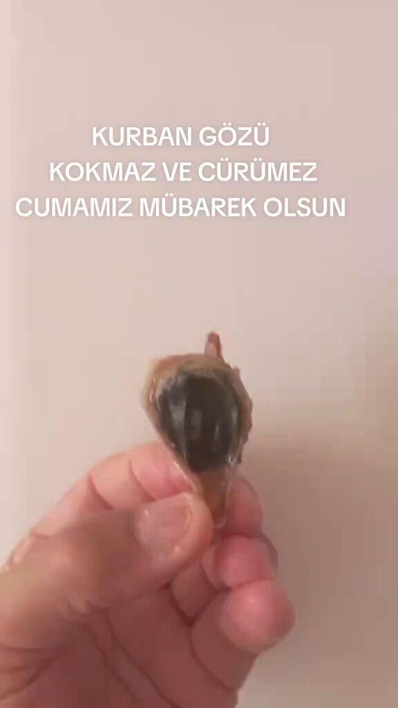 Metafizik uzmanı, nazardan korunmak için tosun gözünü saklıyor