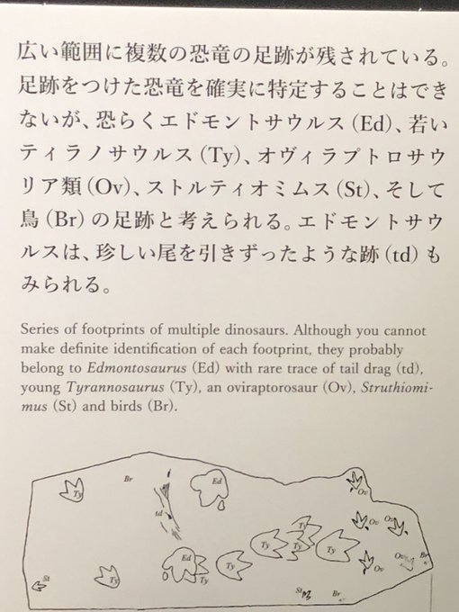 えー あーる えある Tk 12 シアターを3回 初めから展示を2回 3時間以上かけてから おみやげコーナーへ 欲しかった恐竜くんのイラストグッズ 可愛い過ぎるマスコットぬいぐるみ ここでしか手に入らない 恐竜の化石 恐竜くんの愛が詰まった