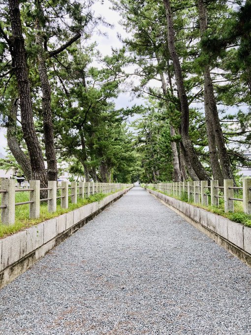 Sachy 奈良クリエイター Creator Sachy 今日はなんだか導かれるように法隆寺へ 奈良県民なのに初法隆寺参拝 パワーをチャージして9月もゆるっと頑張るよ 奈良好きな人と繋がりたい 法隆寺 パワースポット 寺社仏閣好き Nitter