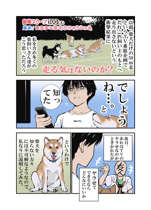 石原 雄 K5dbzrmjne77i5r 番組 柴犬だけの50m走 内容の結果に知人が不思議がっていたので説明してみた Nitter