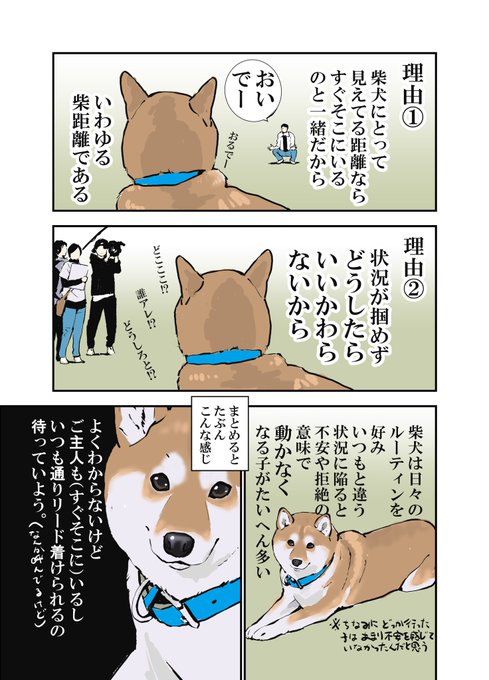 石原 雄 K5dbzrmjne77i5r 番組 柴犬だけの50m走 内容の結果に知人が不思議がっていたので説明してみた Nitter