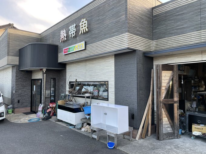 哲じぃじ Waruze0928tetsu Nitter 哲じぃじ Waruze0928tetsu Nitter