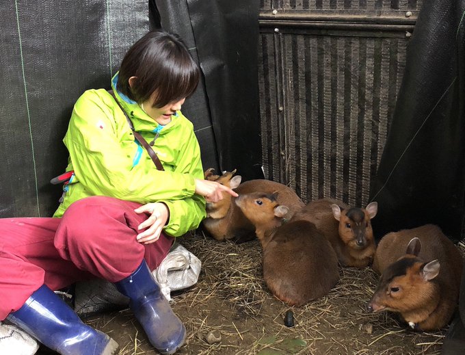 公式 麻布大学 動物応用科学科 Azabuanimsci 教員紹介21 応用動物行動学ユニット ビール党所属の加瀬です 野生動物 とのトラブル解決 飼育動物のqol向上を目的に ちゃんと動物を理解する ための研究をしています 仲良くなるには まず相手を知るべし まだ