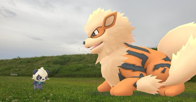 I9s9o Pokego Pi9s9oq ウインディさん弟子にしてください Aroftheday Nofilterarfriday Pokemongo Gosnapshot Pokemongobuddy ウインディ Arcanine ヤンチャム Pancham ヒーローになりたいヤンチャム Nitter