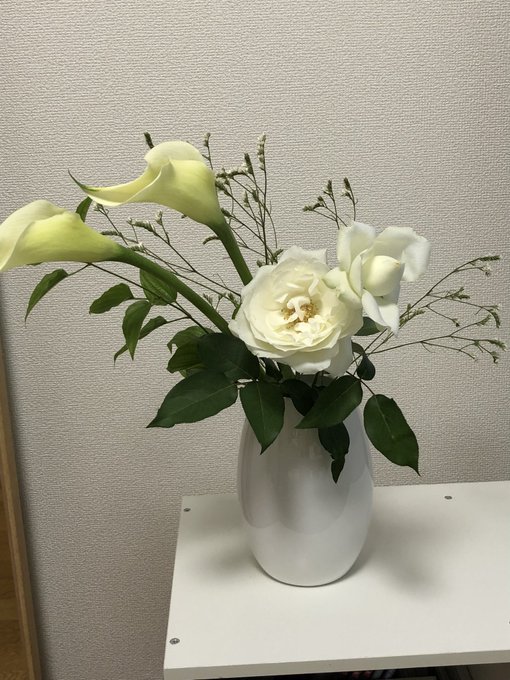 Mai G Ppers3o お花や自然の 美しい写真と 優しくて 心が洗われるような ツイートを 最近よくお見かけします 忘れていたものを 思い出す 穏やかなスペースが 生まれ また育てていけたら いいなぁ と思います ささやかに 白い花を 飾りました Nitter