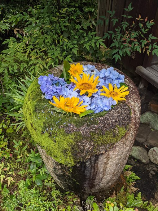 Camellia Tea Ceremony Camelliakyoto A Summer Gathering With The Sunflowers Quickly Being Gobbled Up By A Greedy Horde Of Gem Like Green Beetles We Used The Last Few Flowers To Create A Fresh