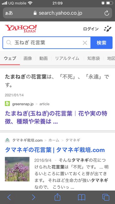 タマイ夕 Syuwatto ピーマンの花言葉って海の恵みなんだ 訳わかんねぇこといってんじゃねえぞ Nitter タマイ夕 Syuwatto ピーマンの花言葉って海の恵みなんだ 訳わかんねぇこといってんじゃねえぞ Nitter