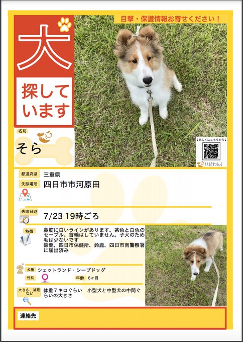 ハピわん 公式 迷子犬センター 相談ノート Hapiwanjp そらちゃんですが まだ見つかっておりません 目撃された方 似たワンちゃんを飼われているのをご存知の方など 情報お持ちの際はぜひお願い致します 犬 ハピわん 拡散希望 迷子犬 迷い犬 迷子犬 ハピわん 公式 迷子犬センター 相談ノート Hapiwanjp そらちゃんですが まだ見つかっておりません 目撃された方 似たワンちゃんを飼われているのをご存知の方など 情報お持ちの際はぜひお願い致します 犬 ハピわん 拡散希望 迷子犬 迷い犬 迷子犬
