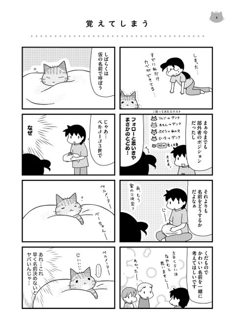 Nitter Nitter