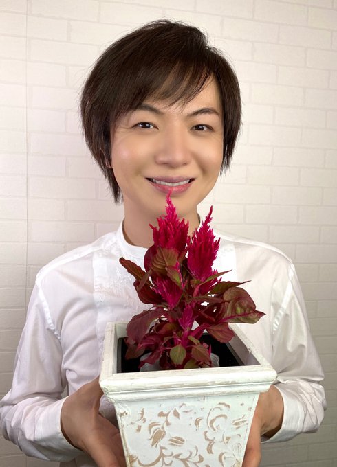 竹島宏スタッフ 公式 Takeshima Staff ウモウケイトウ スマートルック 花言葉は 色あせぬ恋 花言葉の由来は長い期間 カラフルな花が咲くこと 赤は気持ちが元気になる パワー色 今日も1日お疲れ様でした ひろネット 花言葉 花便り 花 花のある 竹島宏スタッフ 公式 Takeshima Staff ウモウケイトウ スマートルック 花言葉は 色あせぬ恋 花言葉の由来は長い期間 カラフルな花が咲くこと 赤は気持ちが元気になる パワー色 今日も1日お疲れ様でした ひろネット 花言葉 花便り 花 花のある
