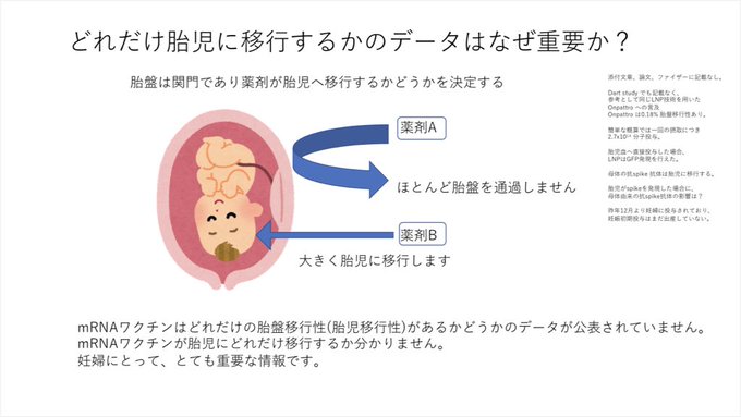 トスターダ 内科医 Md Phd Tostadas Md Phd 妊婦へのmrnaワクチン接種は推奨されますが ワクチンがどれだけ胎児へ移行するか という とても大事なデータが公表されていません このデータが無くて接種を悩んでいる妊婦の為にも データを求める動きが