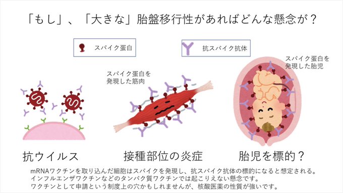 トスターダ 内科医 Md Phd Tostadas Md Phd 妊婦へのmrnaワクチン接種は推奨されますが ワクチンがどれだけ胎児へ移行するか という とても大事なデータが公表されていません このデータが無くて接種を悩んでいる妊婦の為にも データを求める動きが