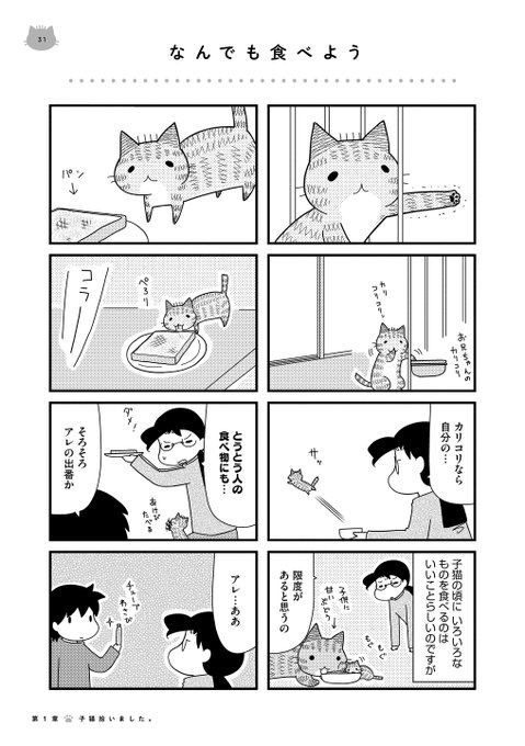 Nitter Nitter