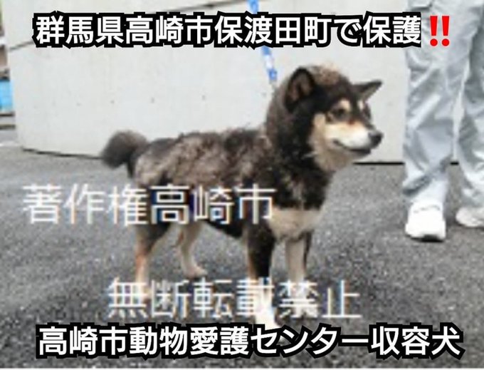 Gj52wlwisgqzum Gj52wlwisgqzum