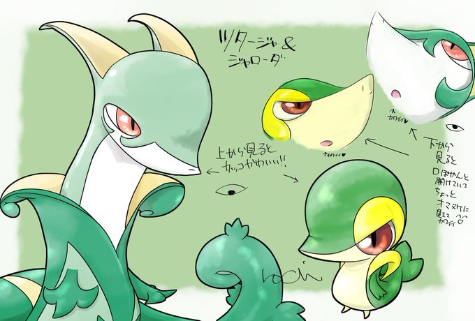 ろち ポケモン あつ森 ドラクエ10 Rochi Tsutatan ツタージャイラスト ツタージャとジャローダ 上から見るとカッコいい 可愛いけど 下から見ると口をぽかーんと開けてなんかちょっと間抜けな感じで可愛い Nitter