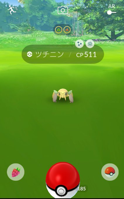 Okkoro Okkorochama 色違いツチニン ポケモンgo Nitter