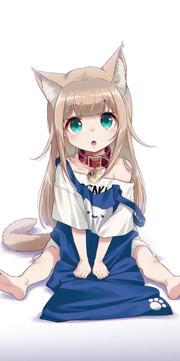 40原 コラボカフェ 名古屋イラスト展開催中 40hara エプロンきなこ 保存して待ち受けに使ってね うちのねこが女の子で かわいい Nitter