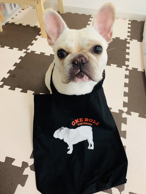 ブルドッグtシャツ ワンダフル かわいい フレンチブルドッグ イラスト ピットブル Giftee 犬好きプレゼント