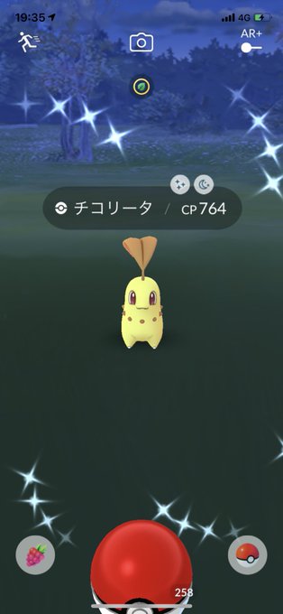 Moka5 Moka51 昨日光った ポケモンgo ポケモンgo高知 ポケモンgo色違いポケモン チコリータ色違い Nitter