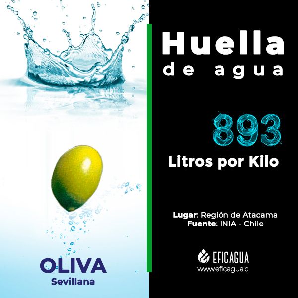 Jueves de #HuellaDeAgua / #WaterFootprint ¿Sabías que una ACEITUNA sevillana producida en la Región de Atacama tiene mayor huella de agua que una producida en la Región de Coquimbo? ¿No sabes qué es la huella de agua?
Te contamos aquí: https://buff.ly/3a7EoKD 3