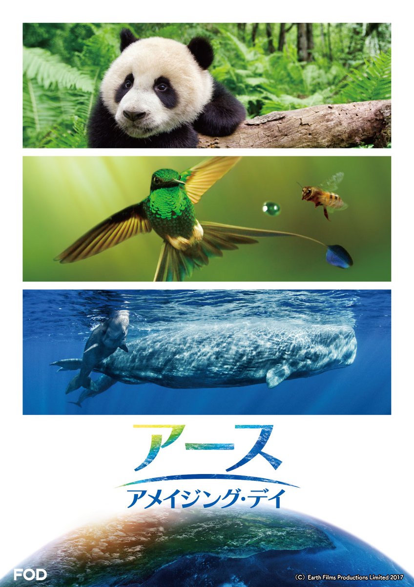 FOD最新情報