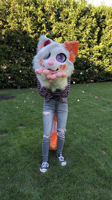 Ponder Hiatus Thru October 16 Ponderthelight I Think I M Due For A New Profile Pin So Here We Go Hi I M Ponder A 17 Y O Fursuiter And Furry Artist