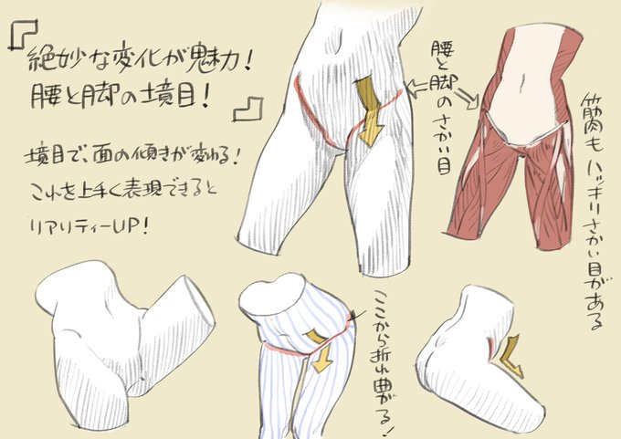 下田スケッチ 絵の描き方 Simodasketch こだわり強め 骨盤周り攻略ポイント Nitter 下田スケッチ 絵の描き方 Simodasketch こだわり強め 骨盤周り攻略ポイント Nitter