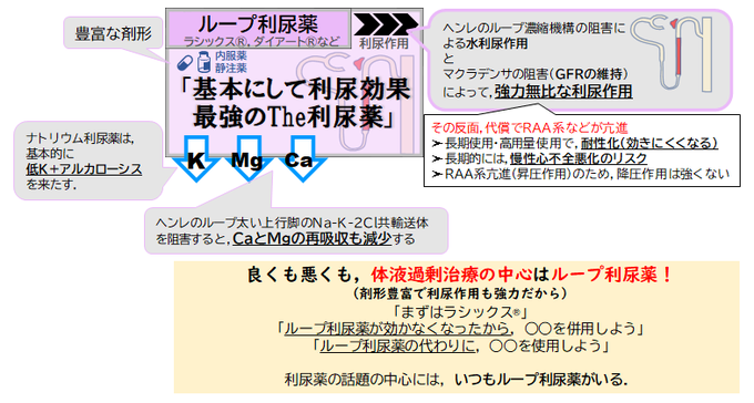 Drぷー Dr Ppooohh 利尿薬のイメージ個別解説 サイアザイド 副作用多いから食わず嫌いしてるのでは ポイントは 併用薬としての出番が多い 副作用は用量依存性に増える 利尿作用 降圧作用は用量依存性が少ない つまり 諦めが肝心 効く人には少量