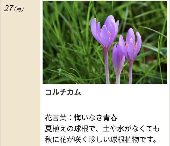 パピ Kh7hbbstdord2sq おはよう 今週もヨロシクお願いします 秋の花粉症に注意して下さい 身体に良い事 大豆 今日も心穏やかなぁ 素敵なぁ一日に なります様に Nitter