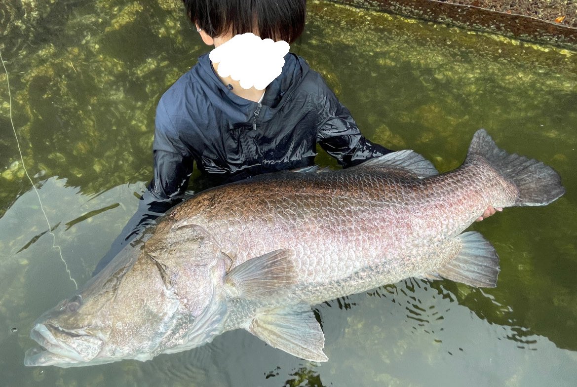 ごそ 釣り垢 Goso Fishing 初高知遠征で135cmのアカメ釣ってしまった メータークラスとは比べ物にならん引きで 冗談抜きで引きずり込まれるかと思った 女子がこんな大きいアカメ釣って海の中で持ってるのってなかなかないんちゃう アカメ
