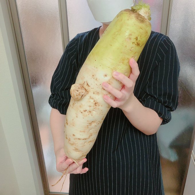 ペロわく 投資 家庭菜園女子大生 Perowakublog 今年のヘンテコ野菜集です 農業はすごく大変だけど こうやって面白い野菜が採れたときは楽しくなります 笑 秋に入ってようやく畑も落ち着いてきたのでひと段落 家庭菜園 畑 おもしろ野菜 大根