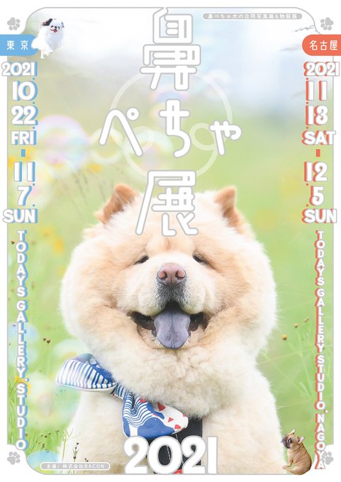 くり蔵 Kurizo Chow Nitter くり蔵 Kurizo Chow Nitter