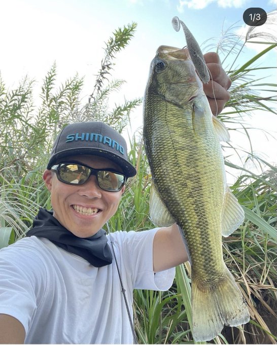 Keita Fish Keita9 Nitter