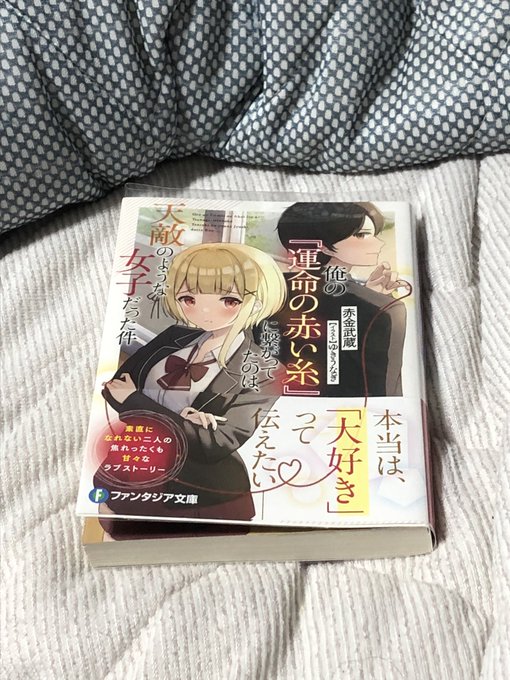 はる ダーツの通り名 小説とラノベ Darts Love Hal 読了 ファンタジア文庫 赤金武蔵 先生 ゆきうなぎ 先生 俺の運命の赤い糸に繋がっていたのは天敵のような女子だった件 ラブストーリーの意味が分かる気がする ラブコメに見えるけど読んでいくと高校生特有