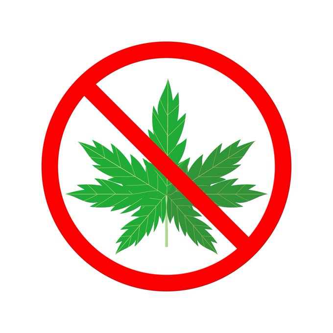 Rotten Movie Rotten Movie 公開日未定の映画 Super High も超楽しみ マリファナ を吸うことでスーパーヒーローなれるコメディ ハイの状態で空を飛んだり スーパーパワーを使ったり考えただけで馬鹿げてるけどめちゃくちゃぶっ飛んだヒーロー 映画になると思うよ