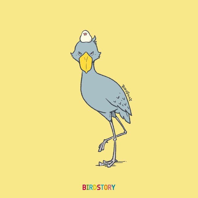 Thebertbird Opening Comms This Summer Hopefully Bertbirdoffical Nitter