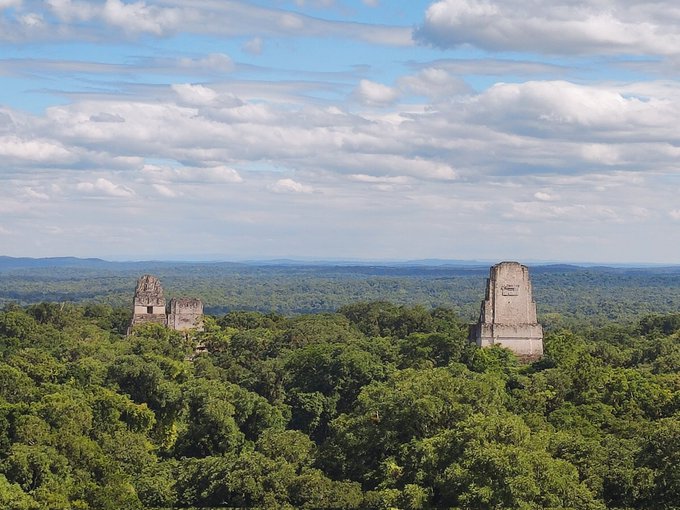 3つ星trip 世界一周 メキシコ 3boshi Trip 世界一周94ヵ国目グアテマラに入国 Onepieceの空島のモデル になったと言われているティカル遺跡に行ってきたけど 本当にそっくりでシャンドラの灯をともしたくなった グアテマラ ティカル遺跡 Nitter 3つ星trip 世界一周 メキシコ 3boshi Trip 世界一周94ヵ国目グアテマラに入国 Onepieceの空島のモデル になったと言われているティカル遺跡に行ってきたけど 本当にそっくりでシャンドラの灯をともしたくなった グアテマラ ティカル遺跡 Nitter