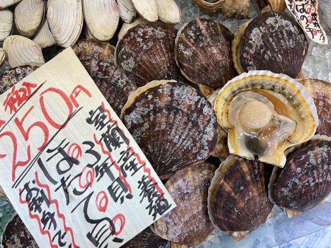 まるせん 木村屋 Marusenkimuraya まるせん木村屋です 本日のおすすめです オホーツク産 冷凍 訳あり 毛ガニ 1杯 10円 かなりのお買得商品です 室蘭産 養殖 3年貝 ほたて貝 1枚 250円 貝柱肉厚 噴火湾産 真かすべ 1枚 300円 煮付け最高 まるせん 木村屋 Marusenkimuraya まるせん木村屋です 本日のおすすめです オホーツク産 冷凍 訳あり 毛ガニ 1杯 10円 かなりのお買得商品です 室蘭産 養殖 3年貝 ほたて貝 1枚 250円 貝柱肉厚 噴火湾産 真かすべ 1枚 300円 煮付け最高