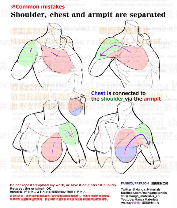 Manga Materials English Post By Mm Staff Mangamaterials2 Personal Note Connection Between Chest And Shoulder Movement Of The Shoulder Front Patreon Http Patreon Com Posts Movement Of Fanbox Http Pixiv Net Fanbox Creator