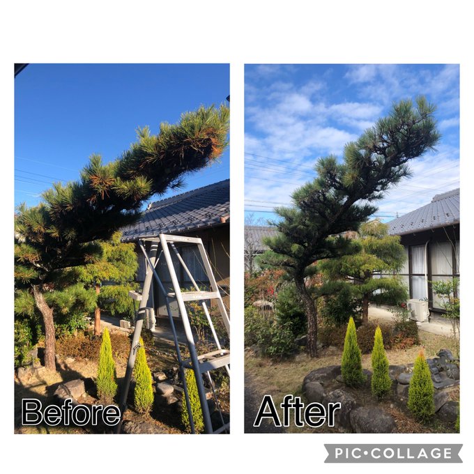 こた Poke Kotachaman じいが待つ 蒼い髪切り 悴む手 Nitter こた Poke Kotachaman じいが待つ 蒼い髪切り 悴む手 Nitter