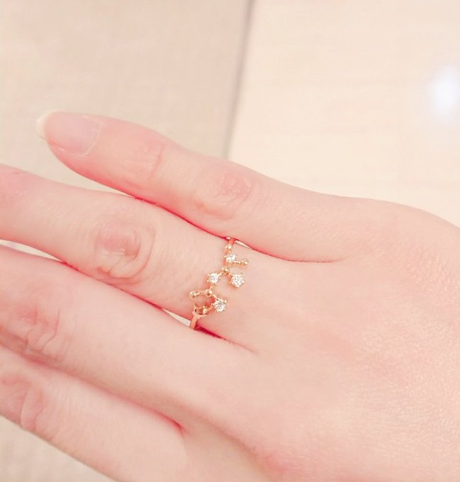 あやめwめ Aya Me3 誕生日プレゼントにちびたろさんが指輪買ってくれた ハンカチかピアスって言ってたんだけど ふらりと入った 雑貨屋さんで見つけて 仕事中も目に入るしがんばれるからこれにした 嬉しい Nitter