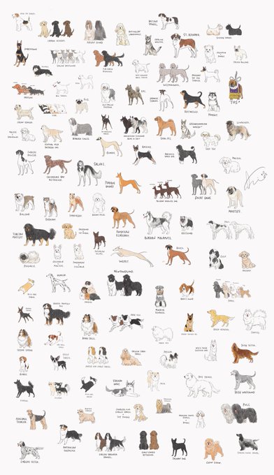 Sakio Dorasakio Xmas フォロワー5万人記念プレゼント企画 抽選で5名様に おうちの愛犬 Or 愛猫をユル犬 猫イラストにしてプレゼント お渡ししたイラストデータは個人利用であれば自由にグッズ化可能 参加条件 このアカウントをフォロー Rt