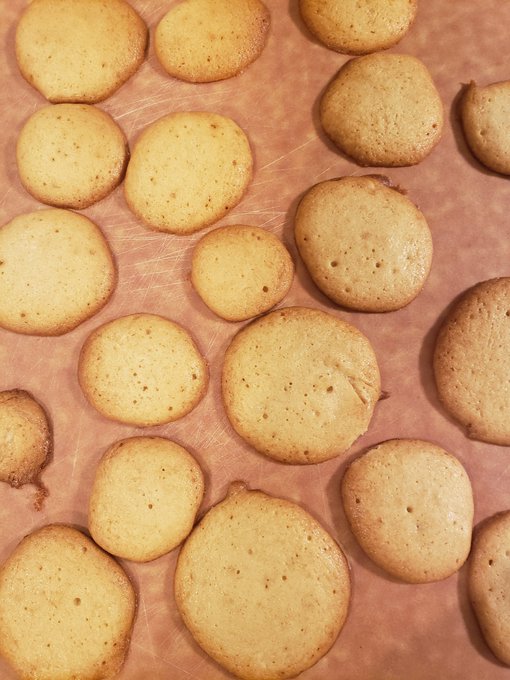 Faable01 Faable01 アーモンドプードルもなければ絞り袋もなかったので あえてラングドシャとは名乗らないの Nitter Faable01 Faable01 アーモンドプードルもなければ絞り袋もなかったので あえてラングドシャとは名乗らないの Nitter