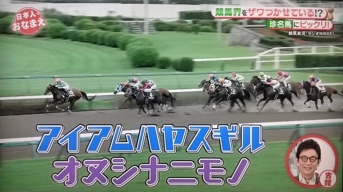 カープ男子ｋ Btuj0zgcnme29jj Nhk 日本人のおなまえ ビックリ競走馬ネームsp 競馬 好きには面白い番組だった そう言えば古い競馬ファンから言わしてもらえば近年変なふざけた名前の競走馬が増えたねww Nitter