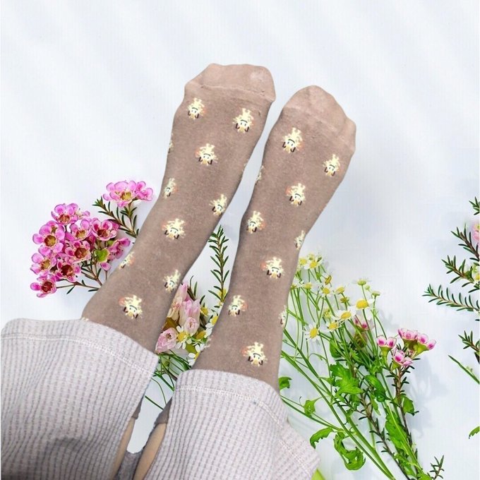 Mycozaky Taox26snowoman ﾌﾟﾚｾﾞﾝﾄ渡す相手がいる 贈ってくれる相手がいる っていうのは 本当に素敵で とても愛おしい事なのよ あしザキ 今日のあしザキ Socksappeal ソックスアピール ポケモン ニャース 靴下 ソックス 靴下コーデ 靴下倶楽部